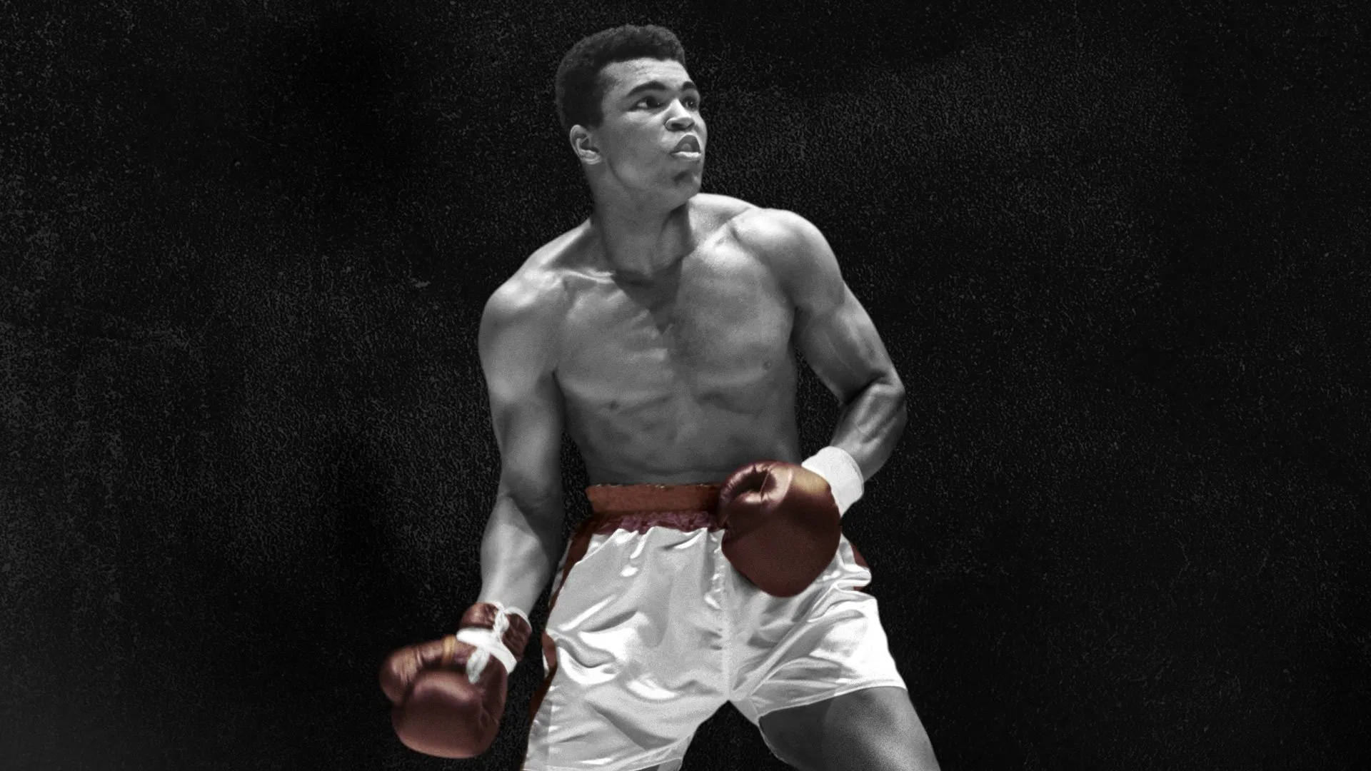 Backdrop for What's My Name | Muhammad Ali