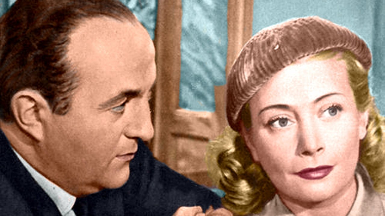 Backdrop for Matrimonial Agency