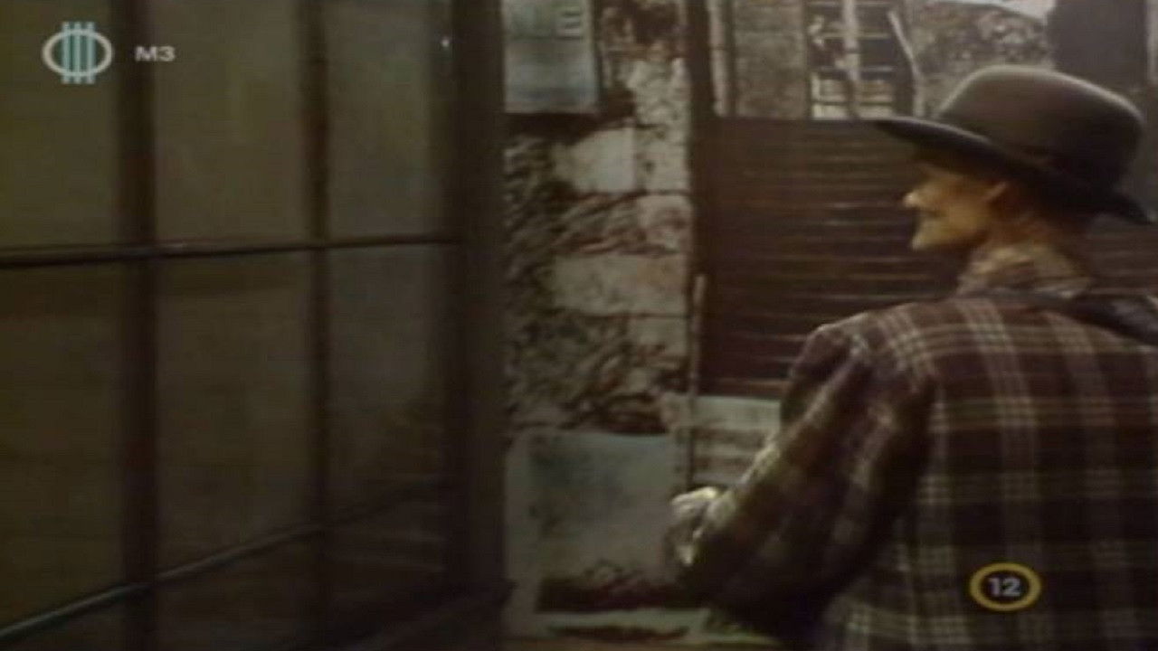 Backdrop for Saroküzlet