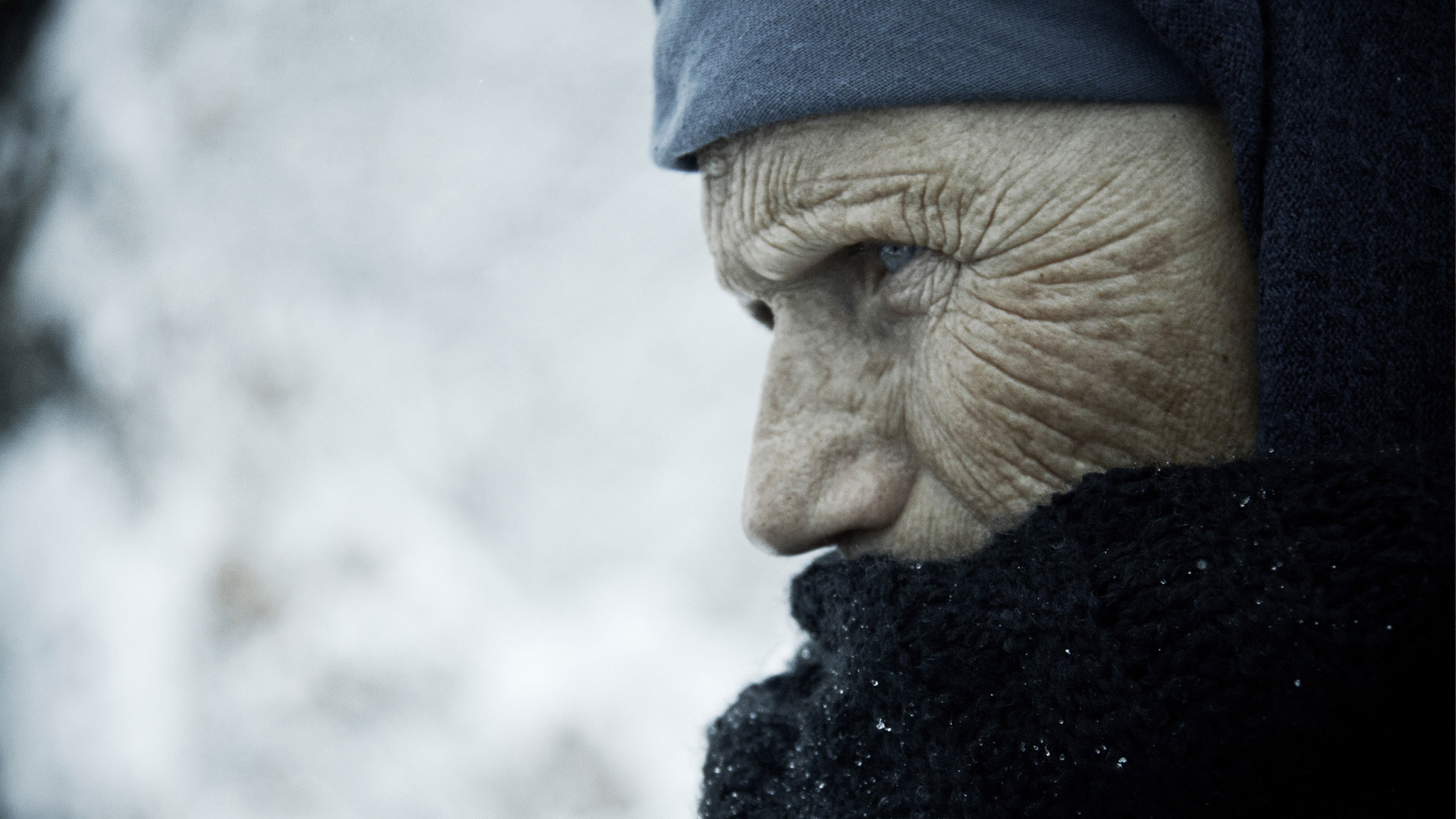 Backdrop for Chamomile