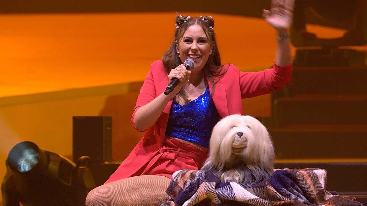 Backdrop for De Grote Sinterklaasshow