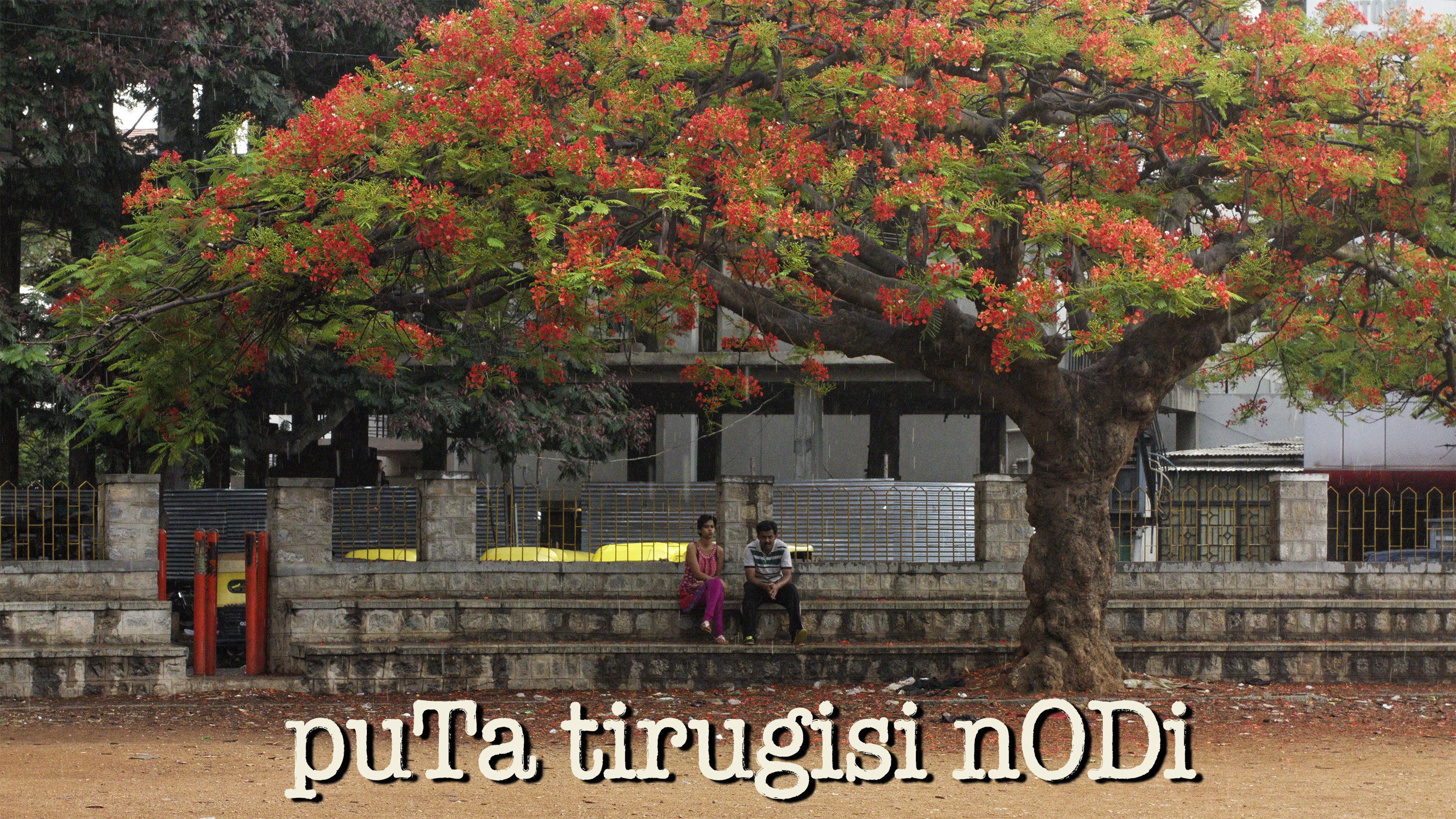 Backdrop for Please Turn Over