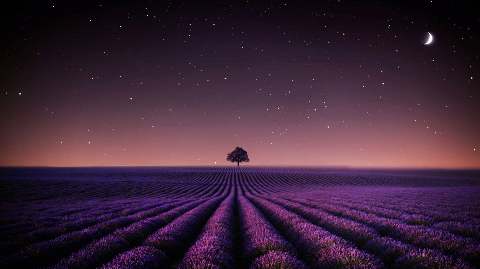 Backdrop for Adieu Aurora