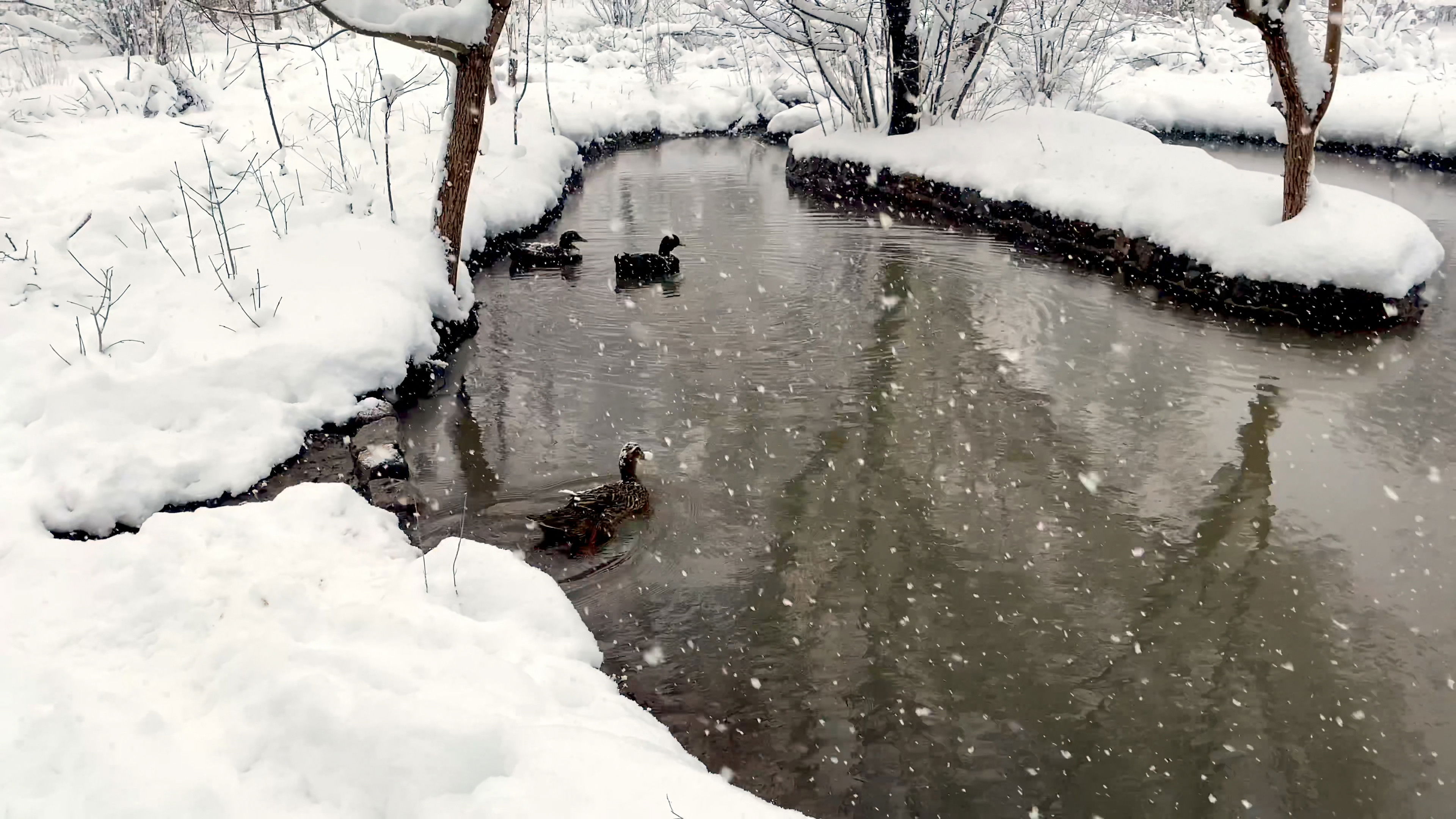 Backdrop for reBUILDING PALANGA
