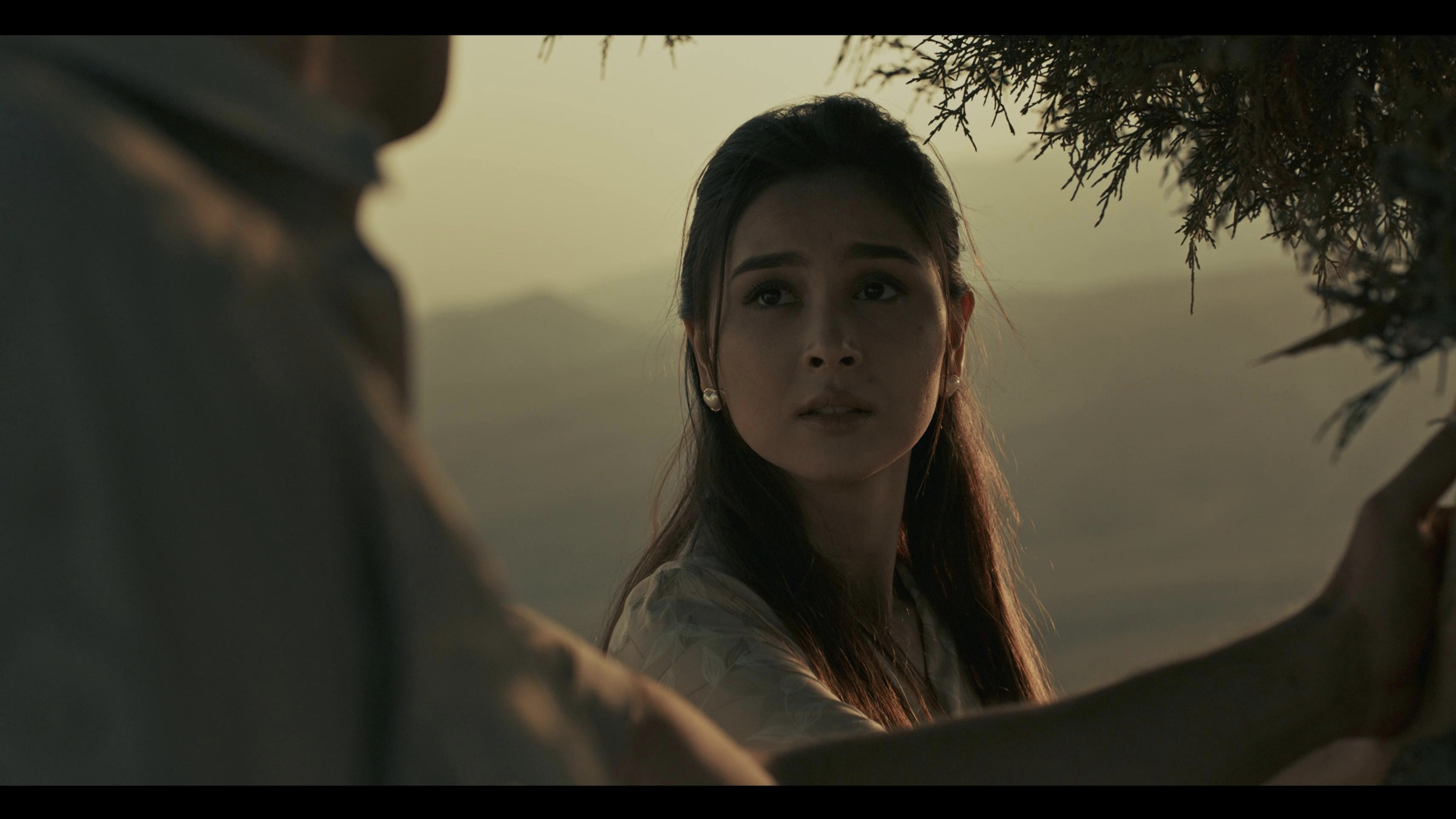 Backdrop for In Pursuit of Spring