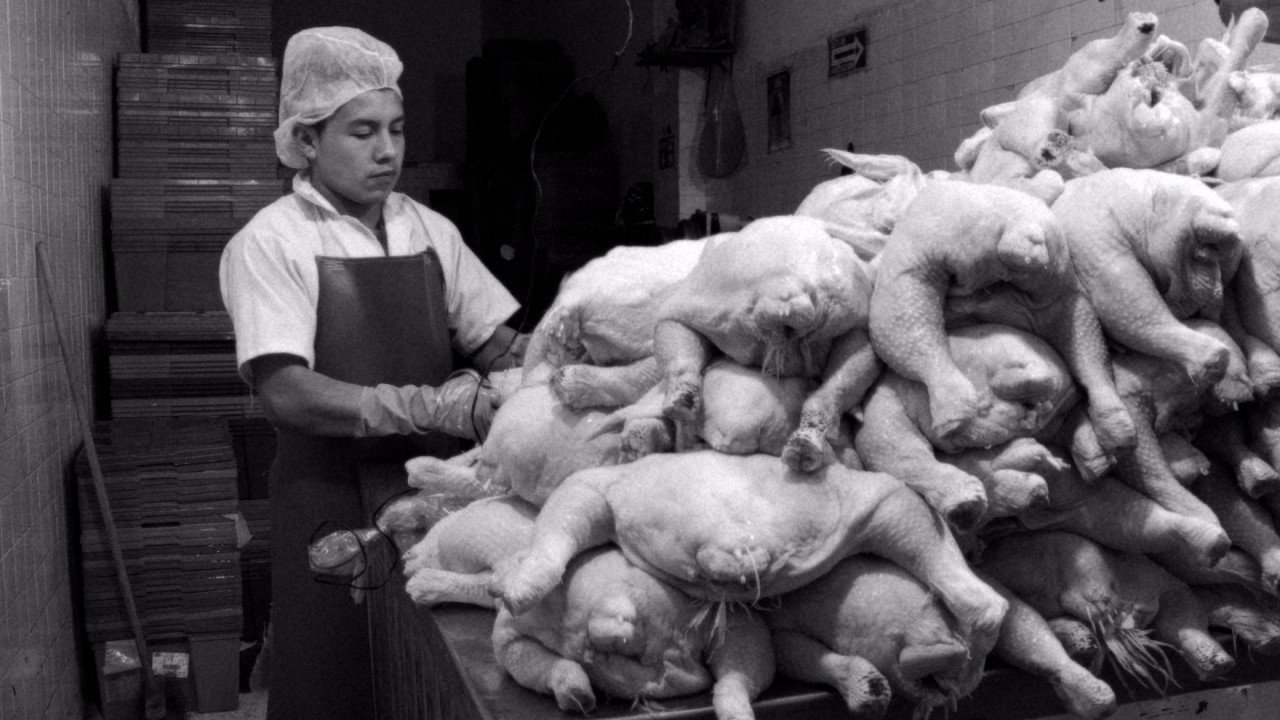 Backdrop for Lopez Street