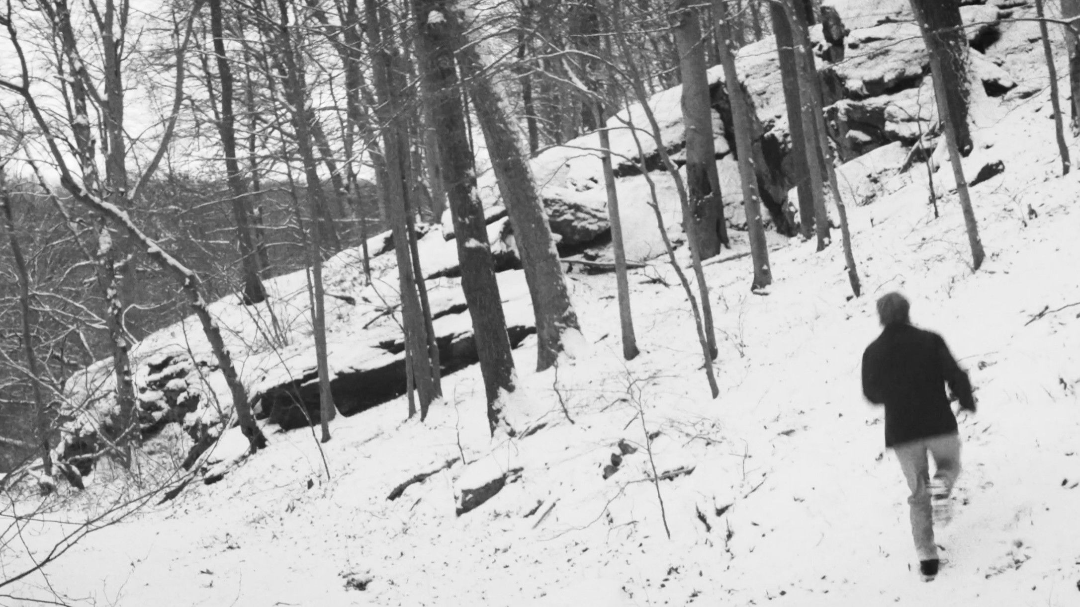 Backdrop for The Devil's Road