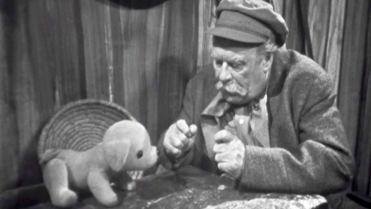 Backdrop for Psí pohádka