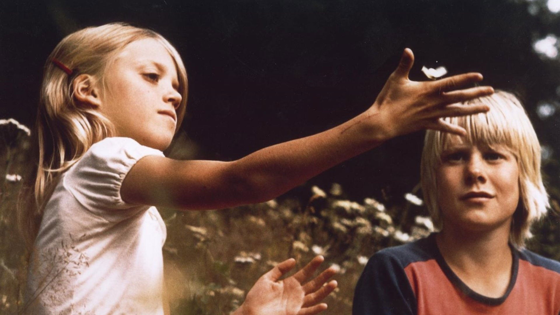 Backdrop for Zeppelin