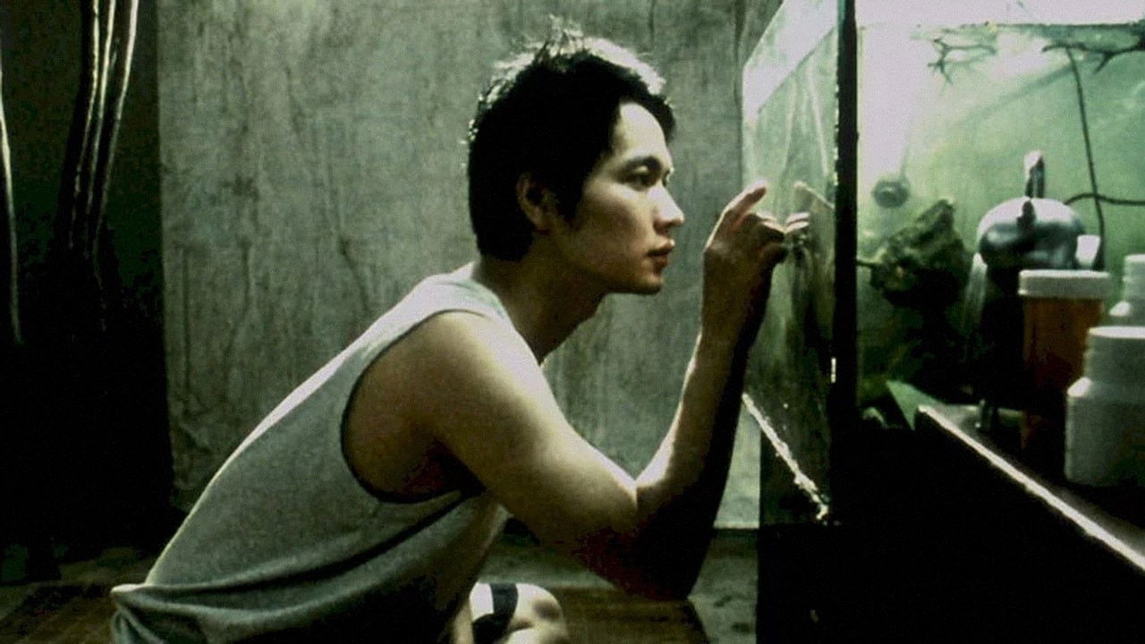 Backdrop for The Last Dining Table