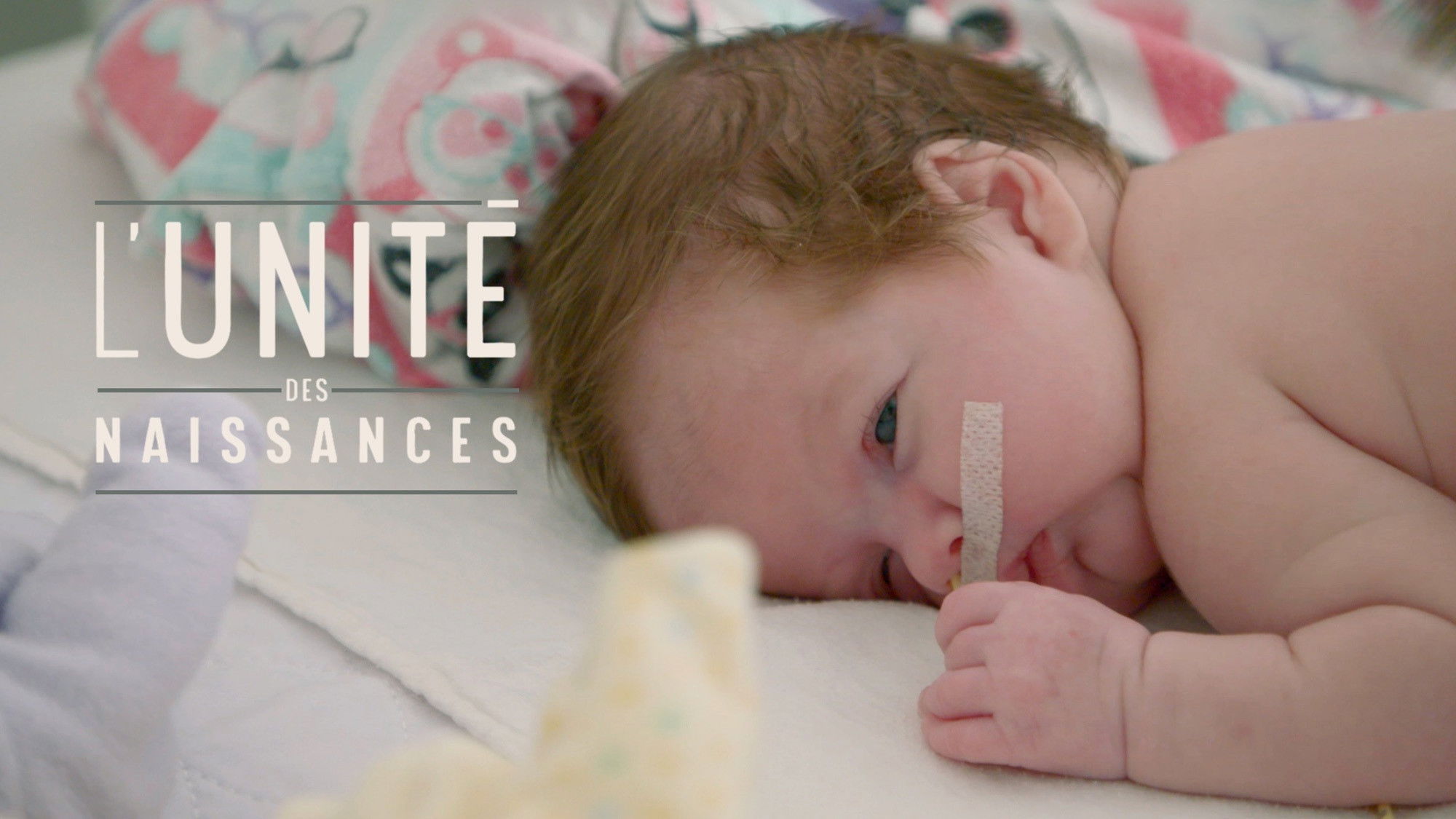 Backdrop for L'Unité des naissances