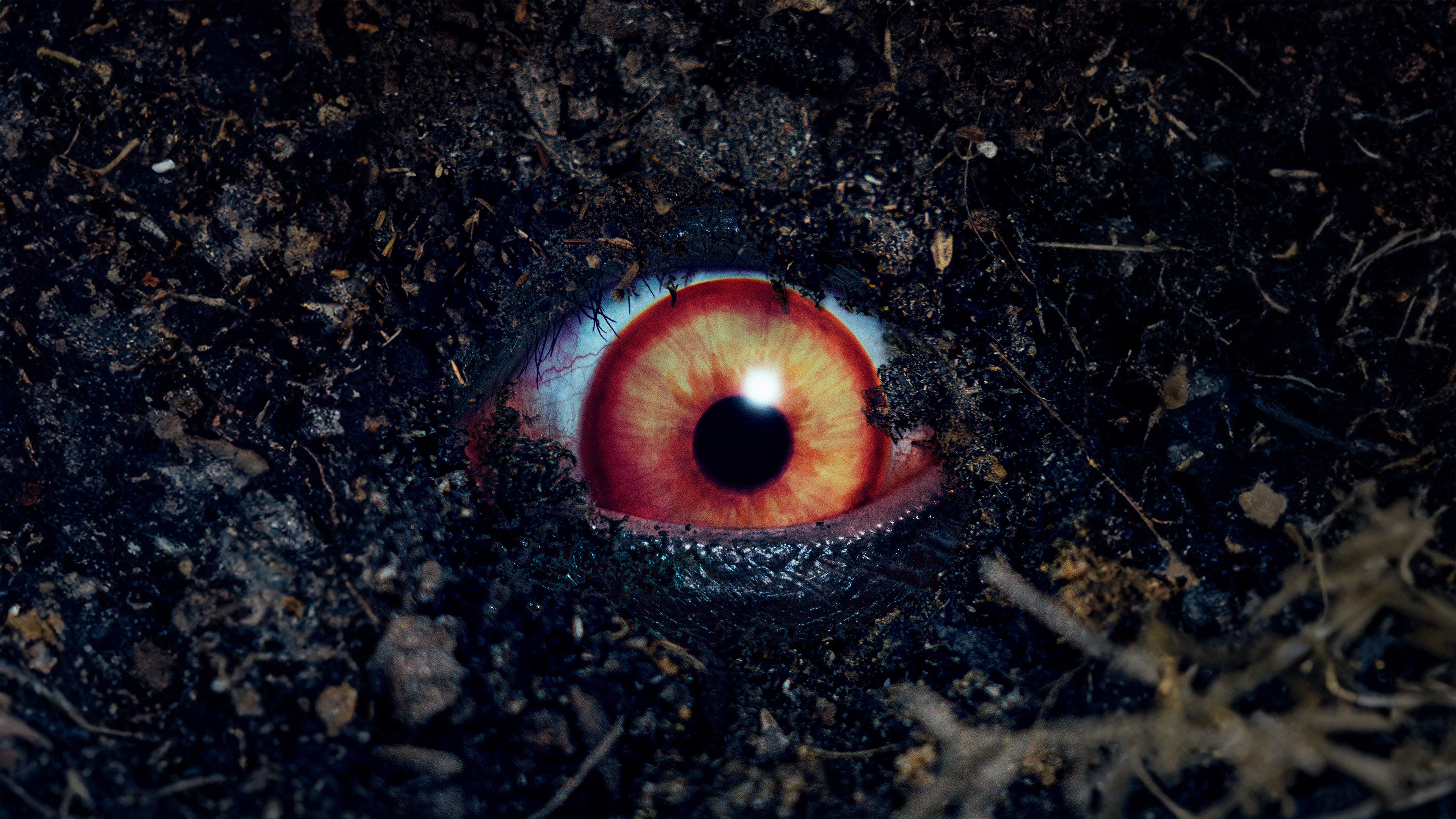 Backdrop for The Forbidden Play