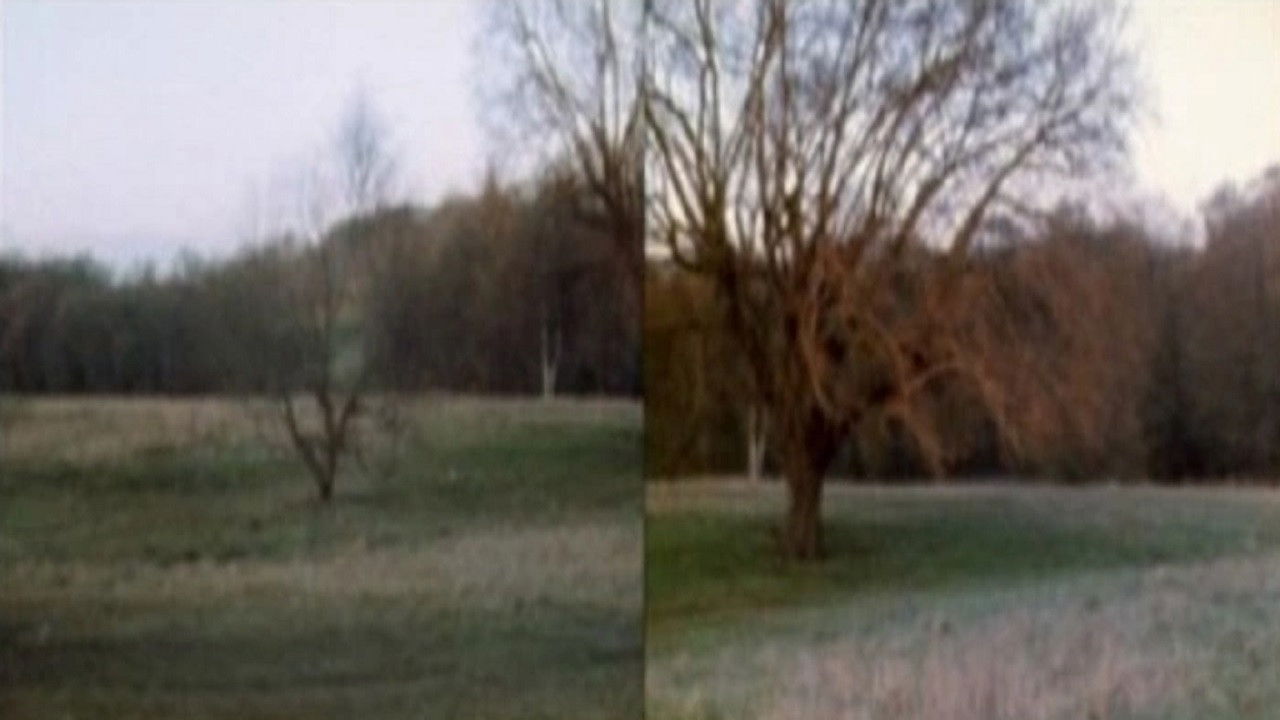 Backdrop for Wind Vane