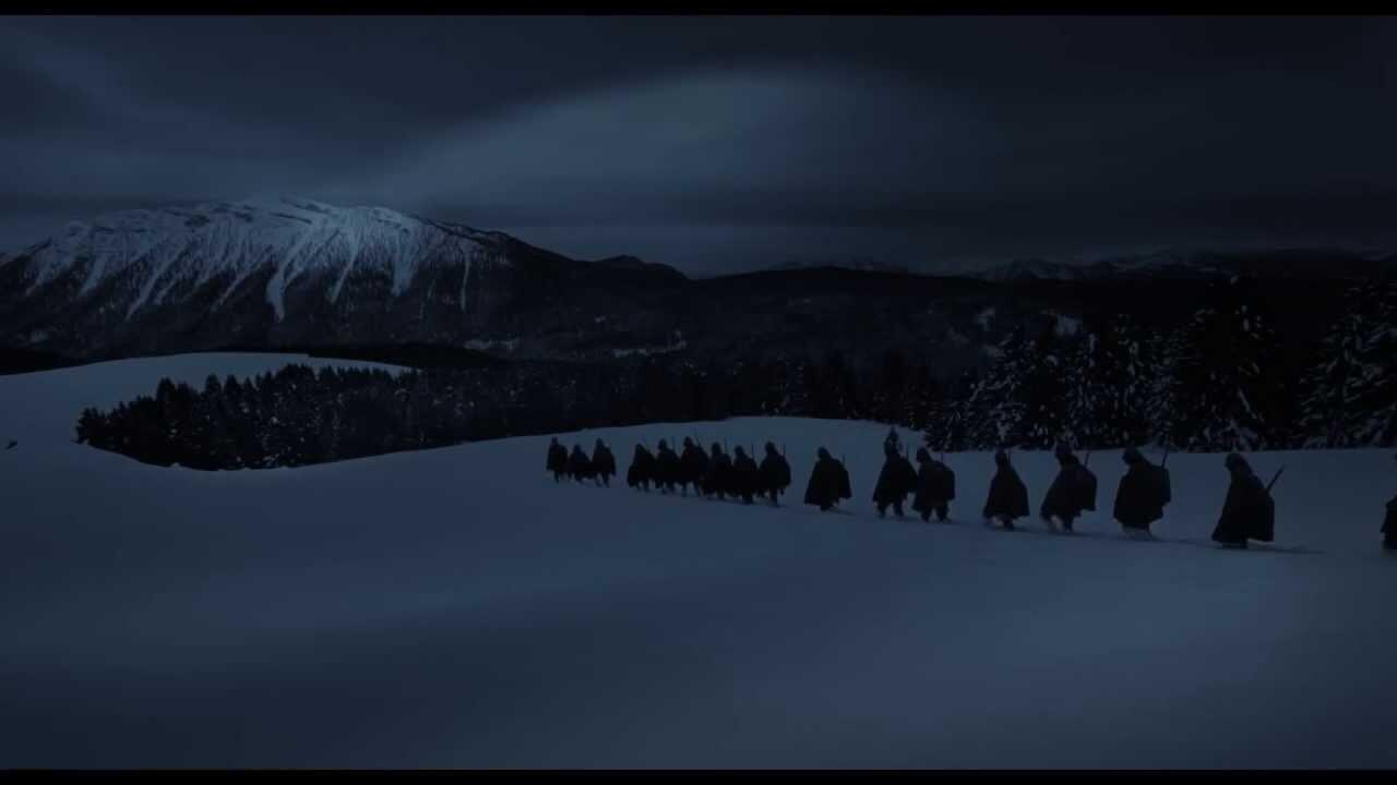 Backdrop for Greenery Will Bloom Again