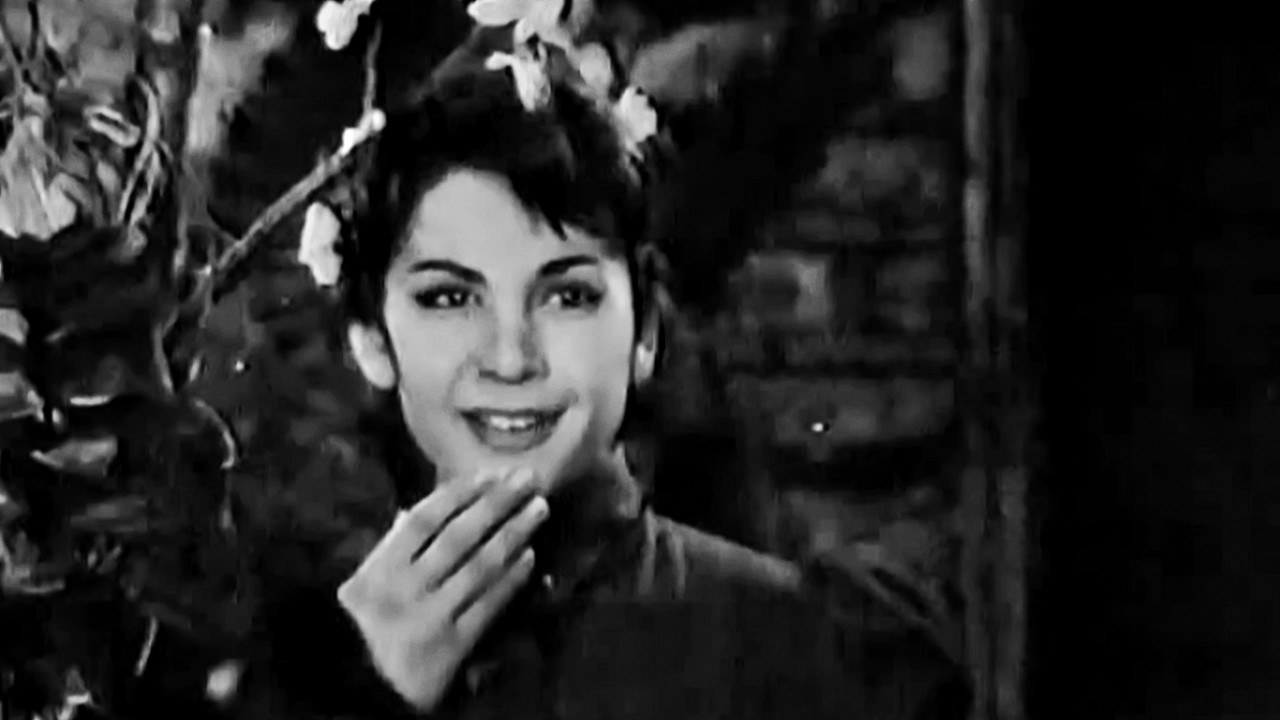 Backdrop for Blossoming Almond Tree