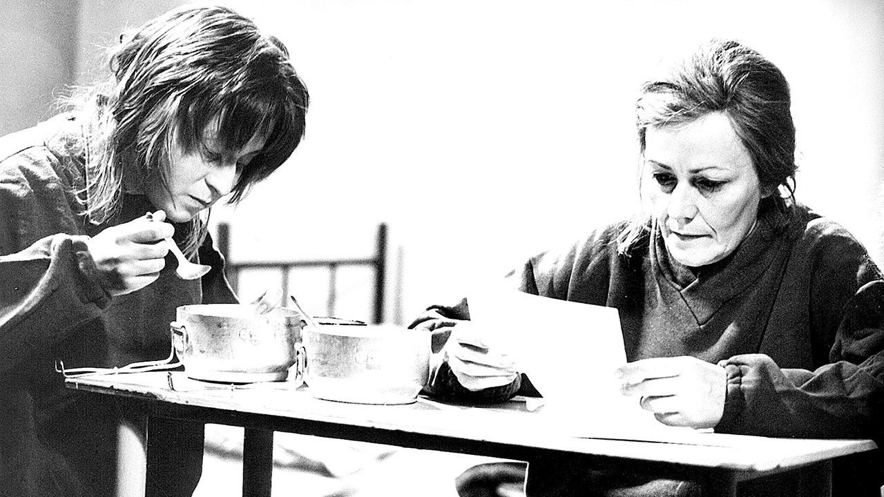 Backdrop for Zatmění všech sluncí