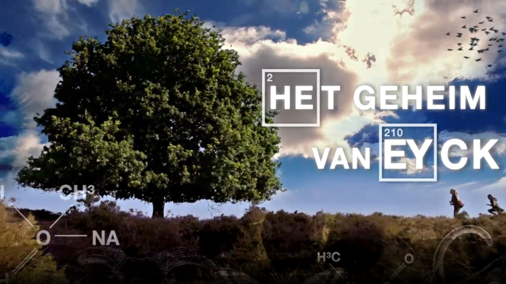 Backdrop for Het Geheim van Eyck