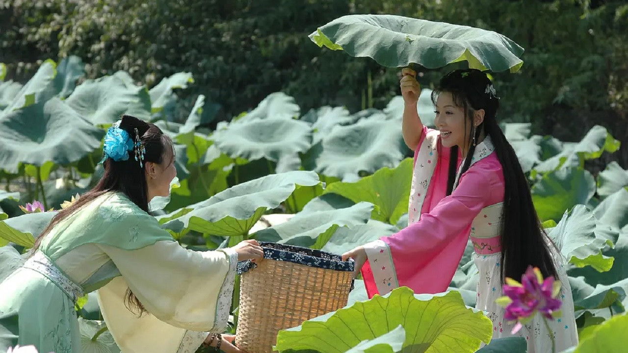 Backdrop for 清风明月佳人