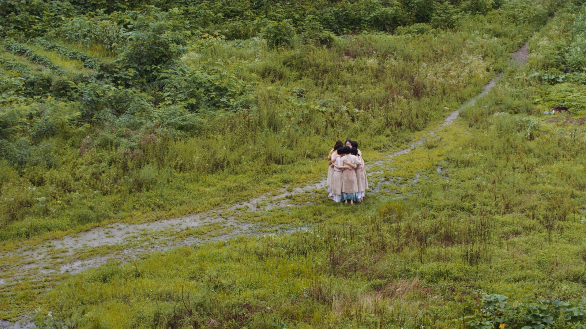 Backdrop for Women in Green
