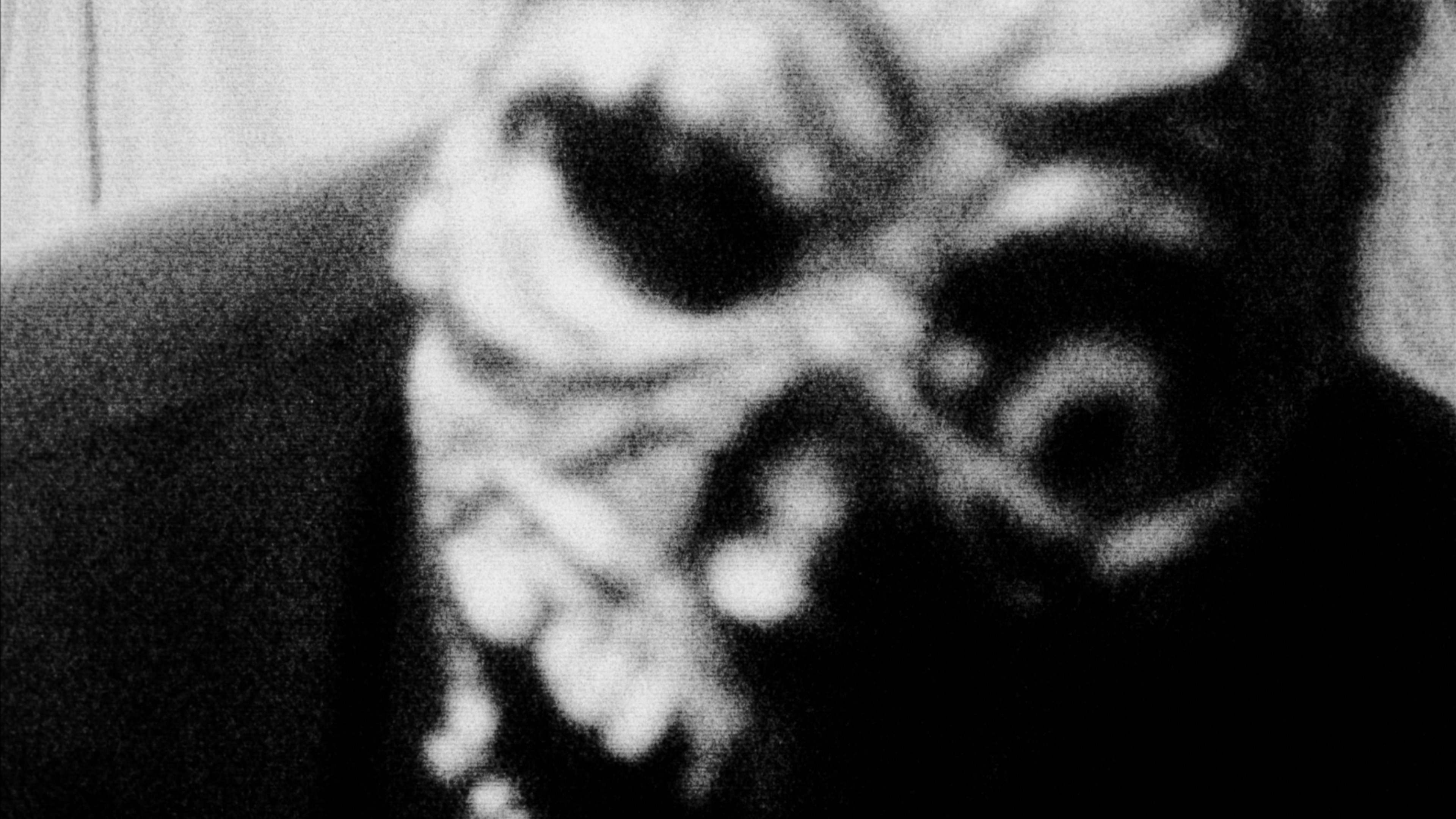 Backdrop for Sincerely Saul