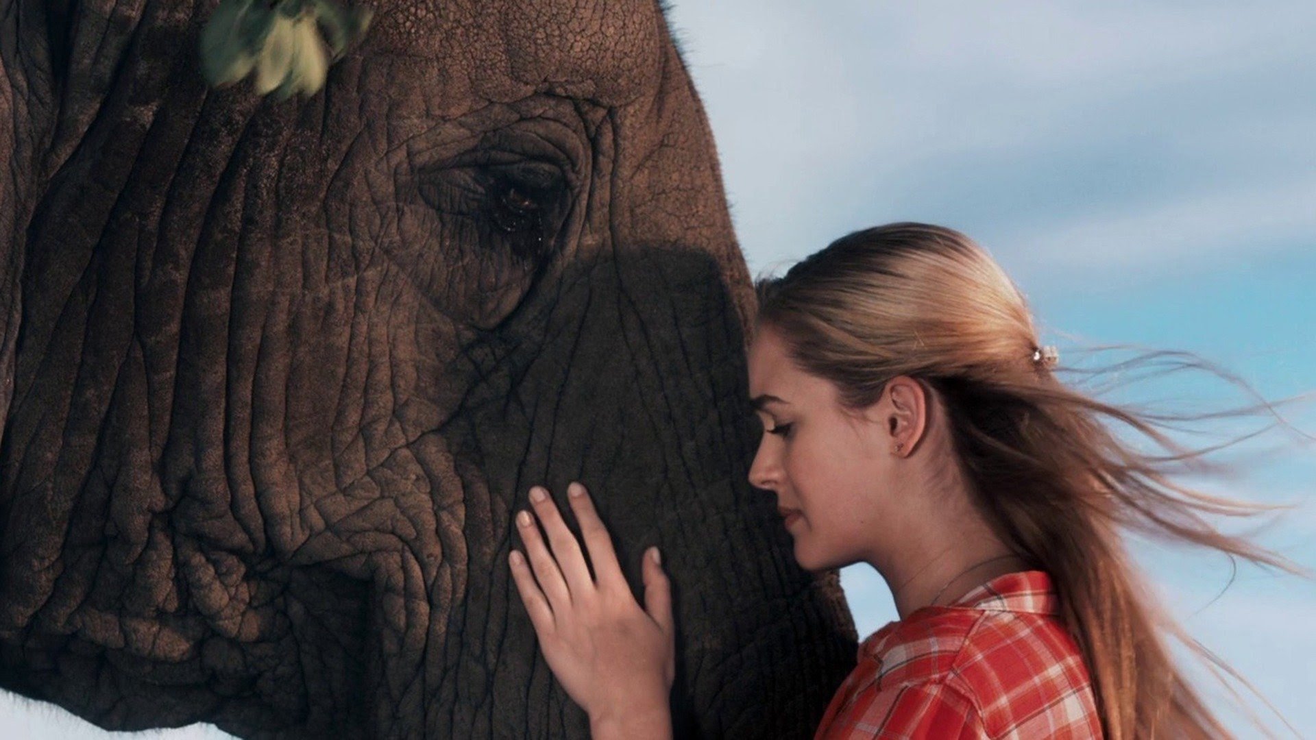 Backdrop for Sophie & Sheba