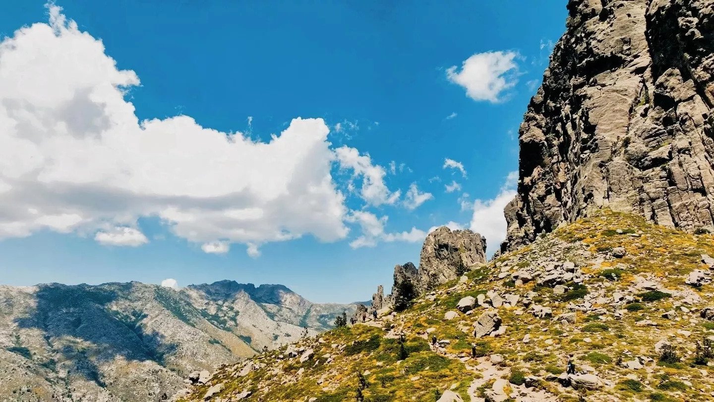 Backdrop for Ce Qui Compte