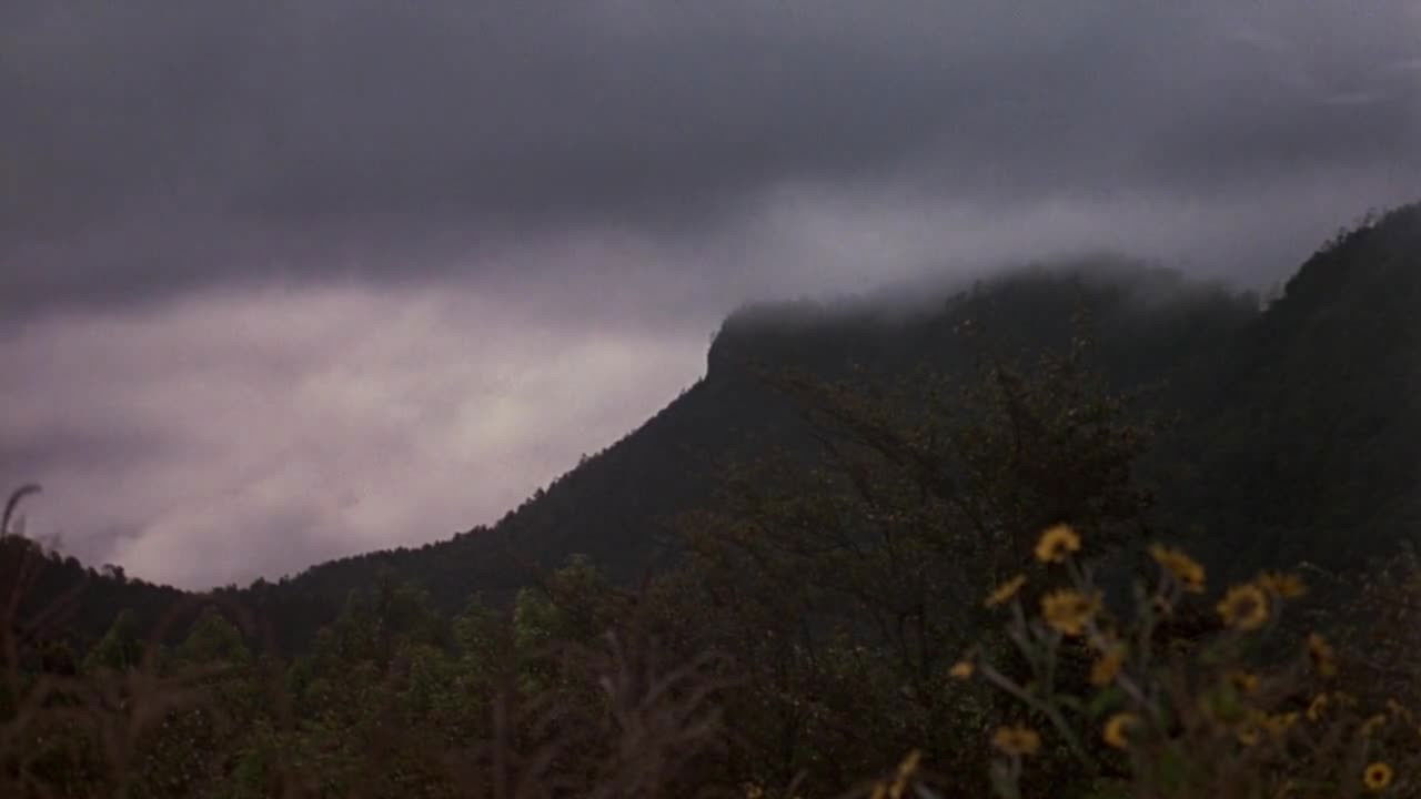 Backdrop for Fistful of Feathers