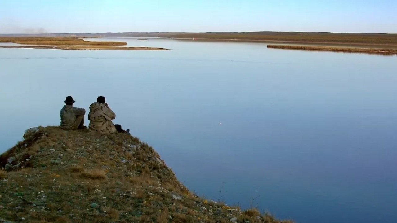 Backdrop for Exciting Life