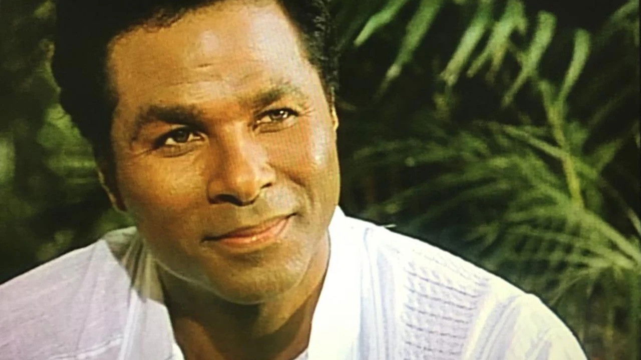 Backdrop for A Little Piece of Sunshine