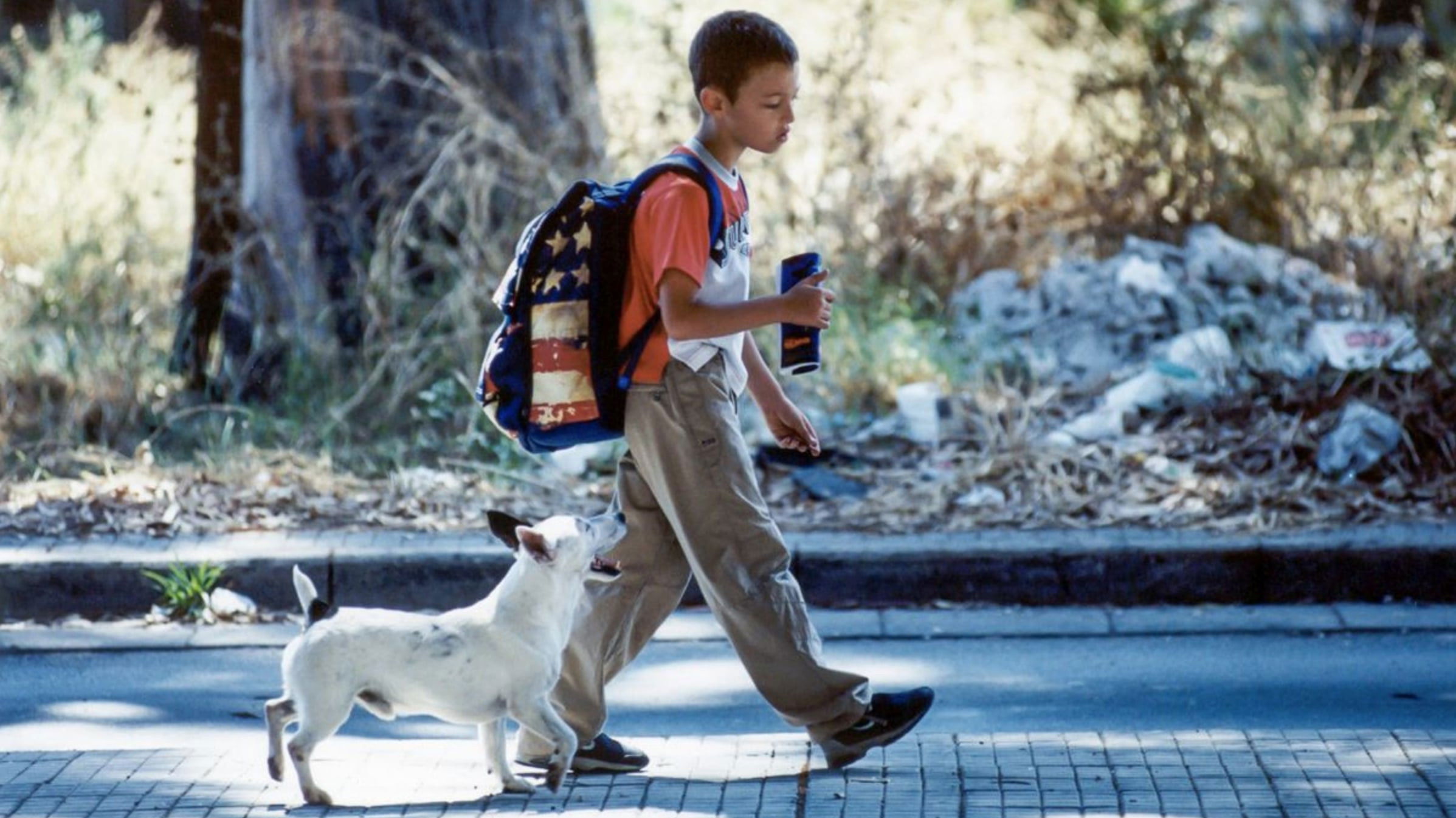 Backdrop for Mario's War