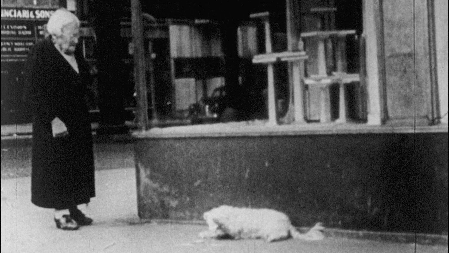 Backdrop for In the Street