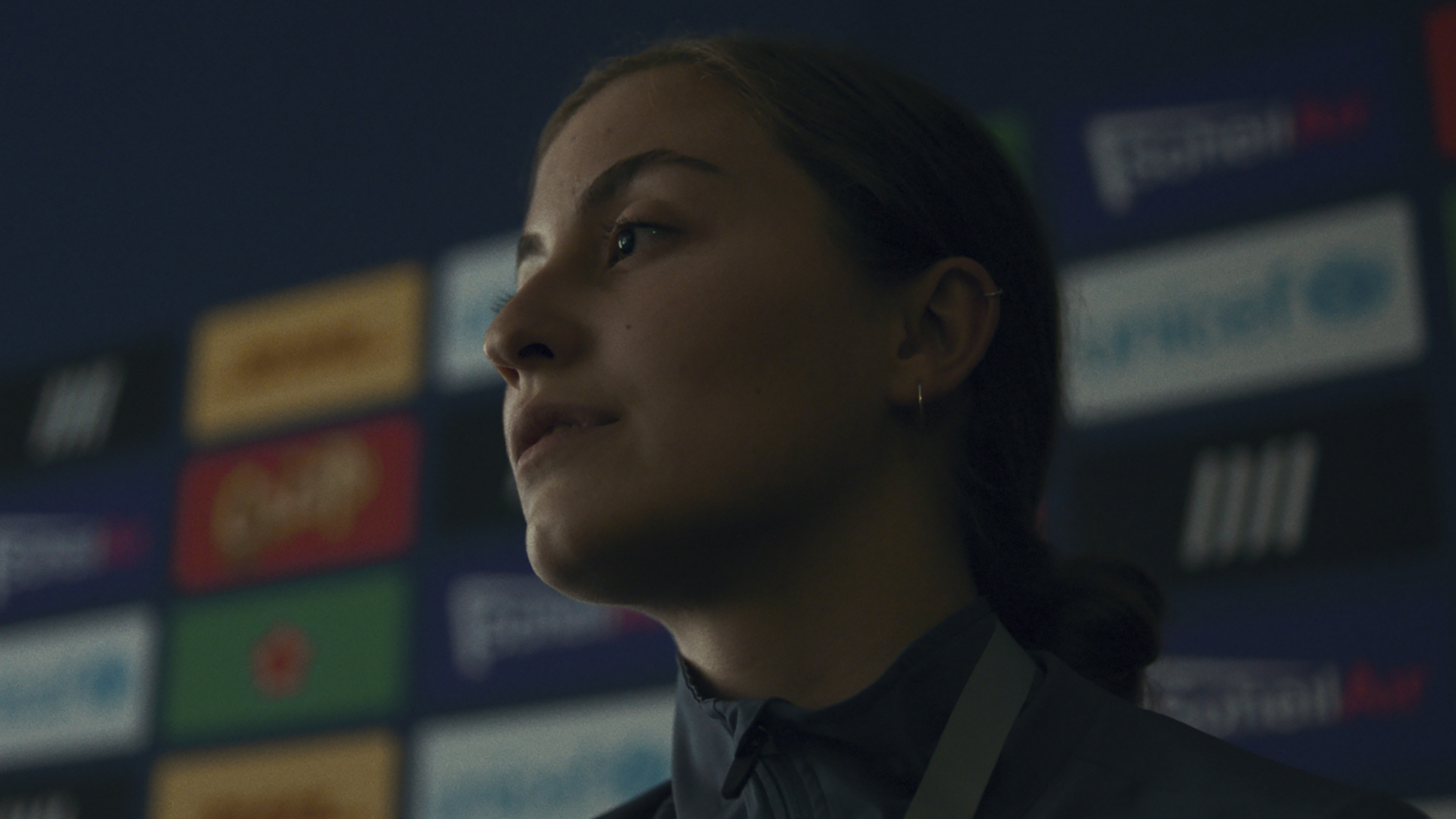 Backdrop for Conference of the Birds