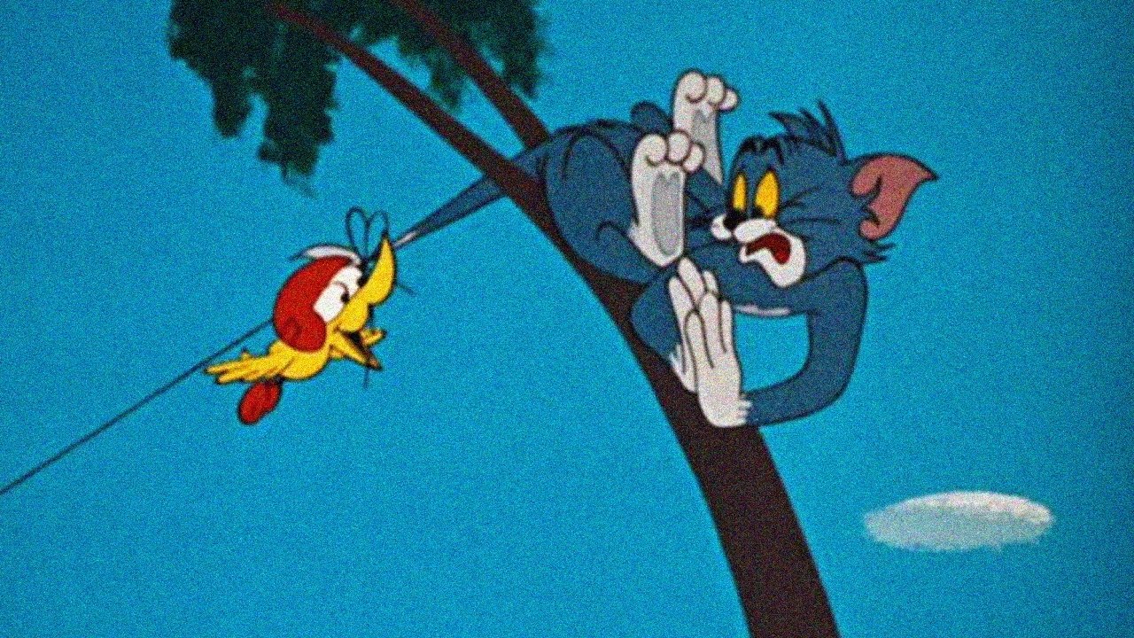 Backdrop for Landing Stripling