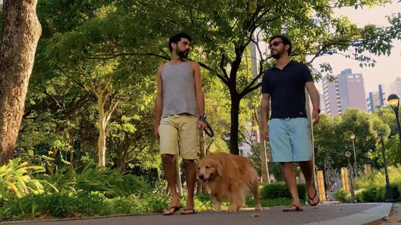 Backdrop for Cinema de Amor