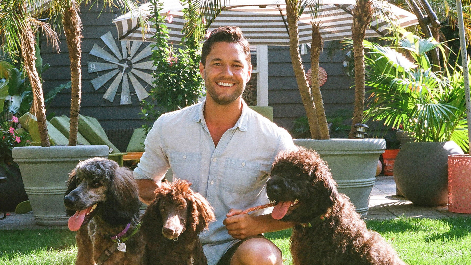 Backdrop for Ready, Set, Pet