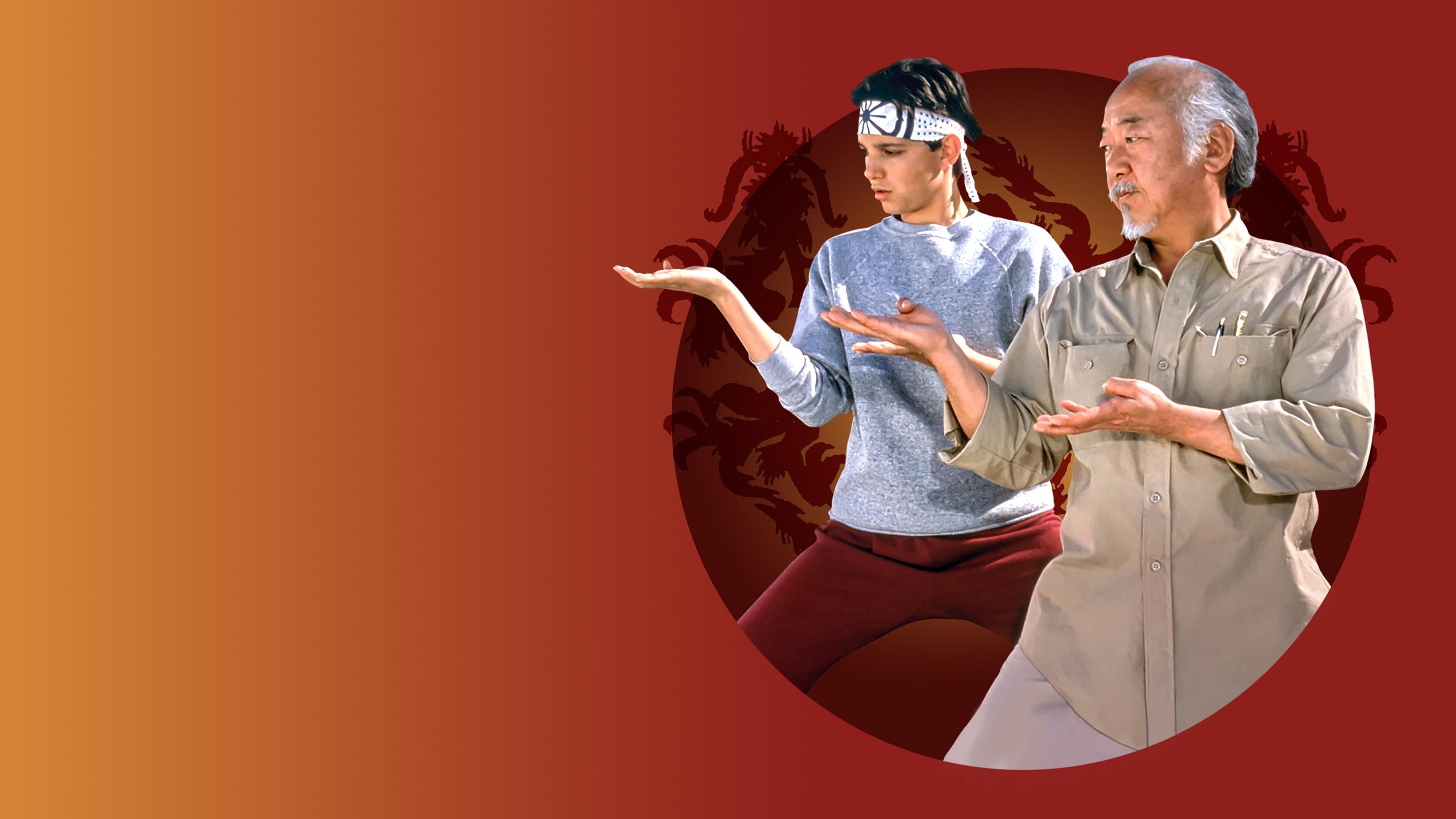 Backdrop for The Karate Kid Part III