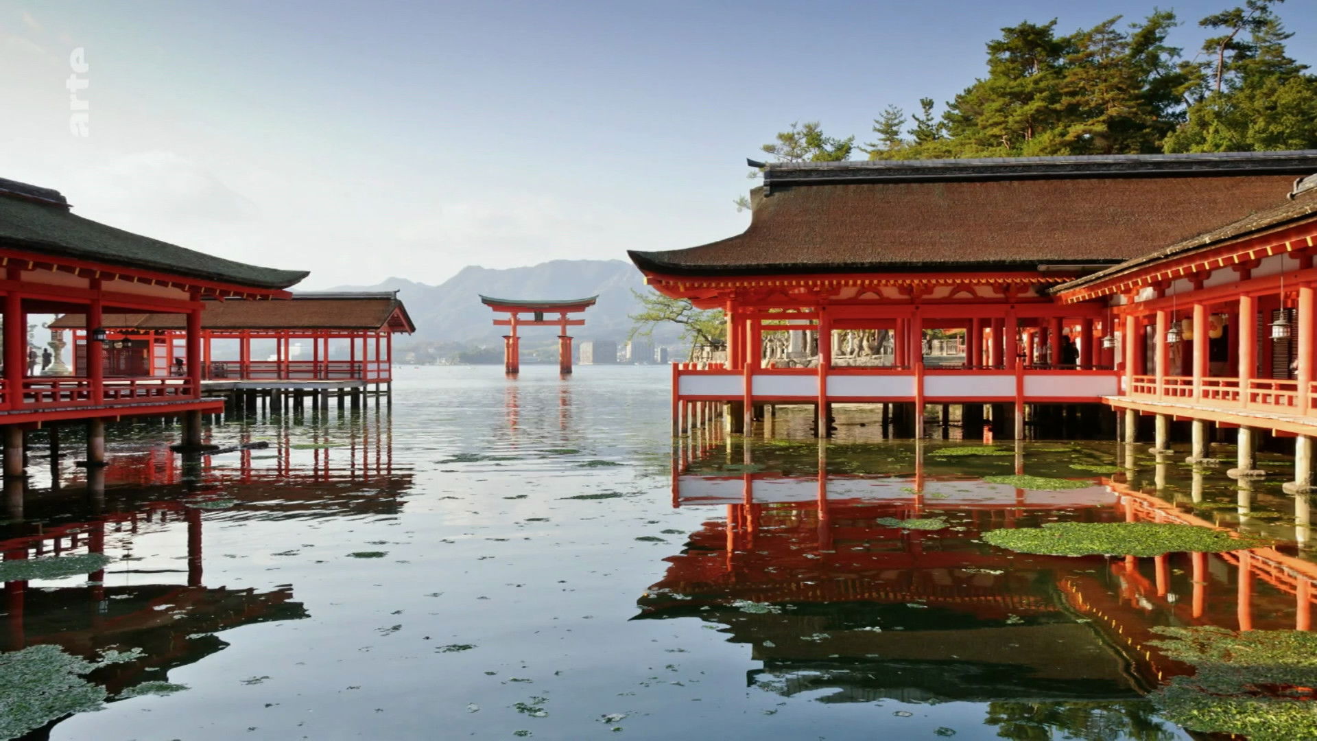 Backdrop for Empire of Mirrors