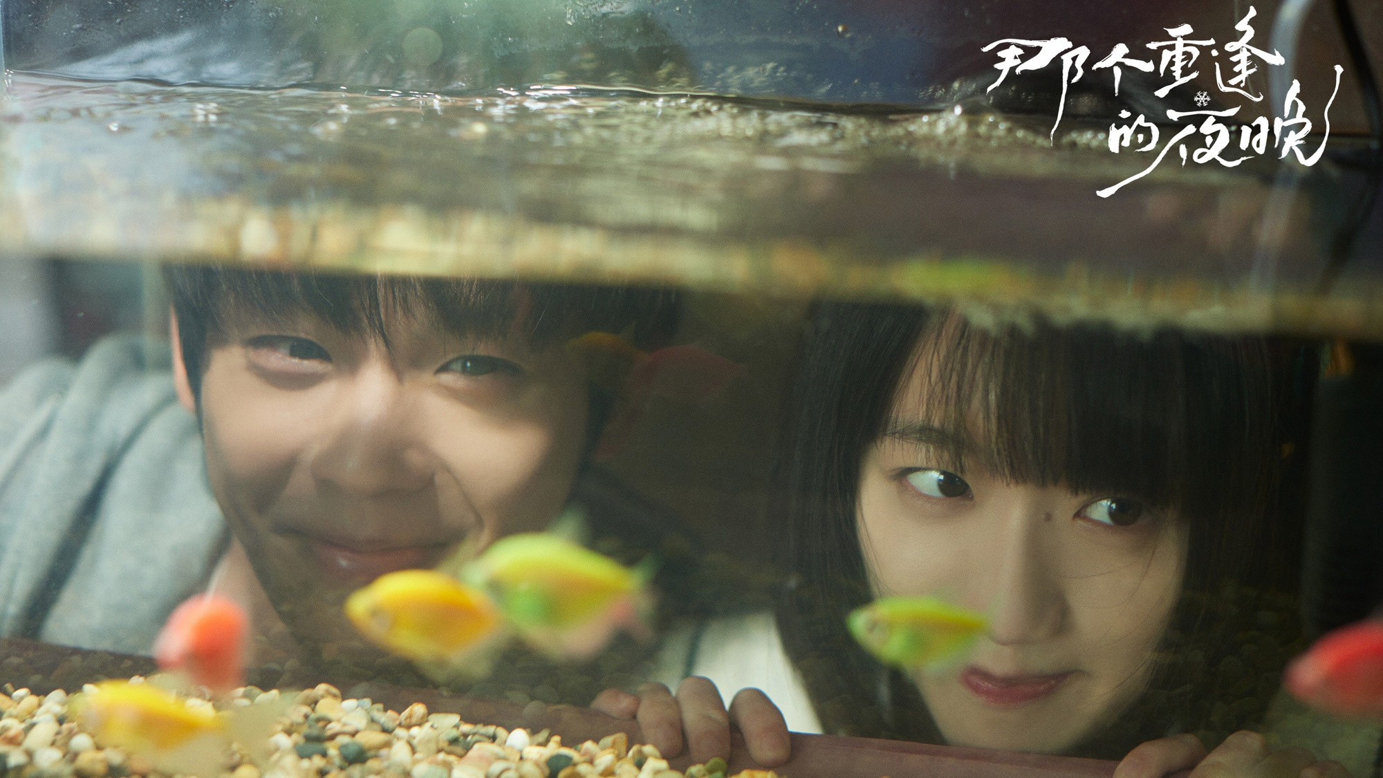 Backdrop for We Shall Meet Again