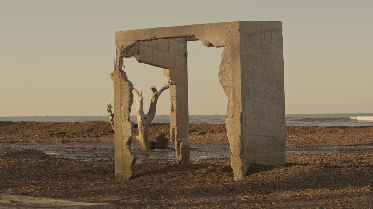 Backdrop for The Stride of Lichen