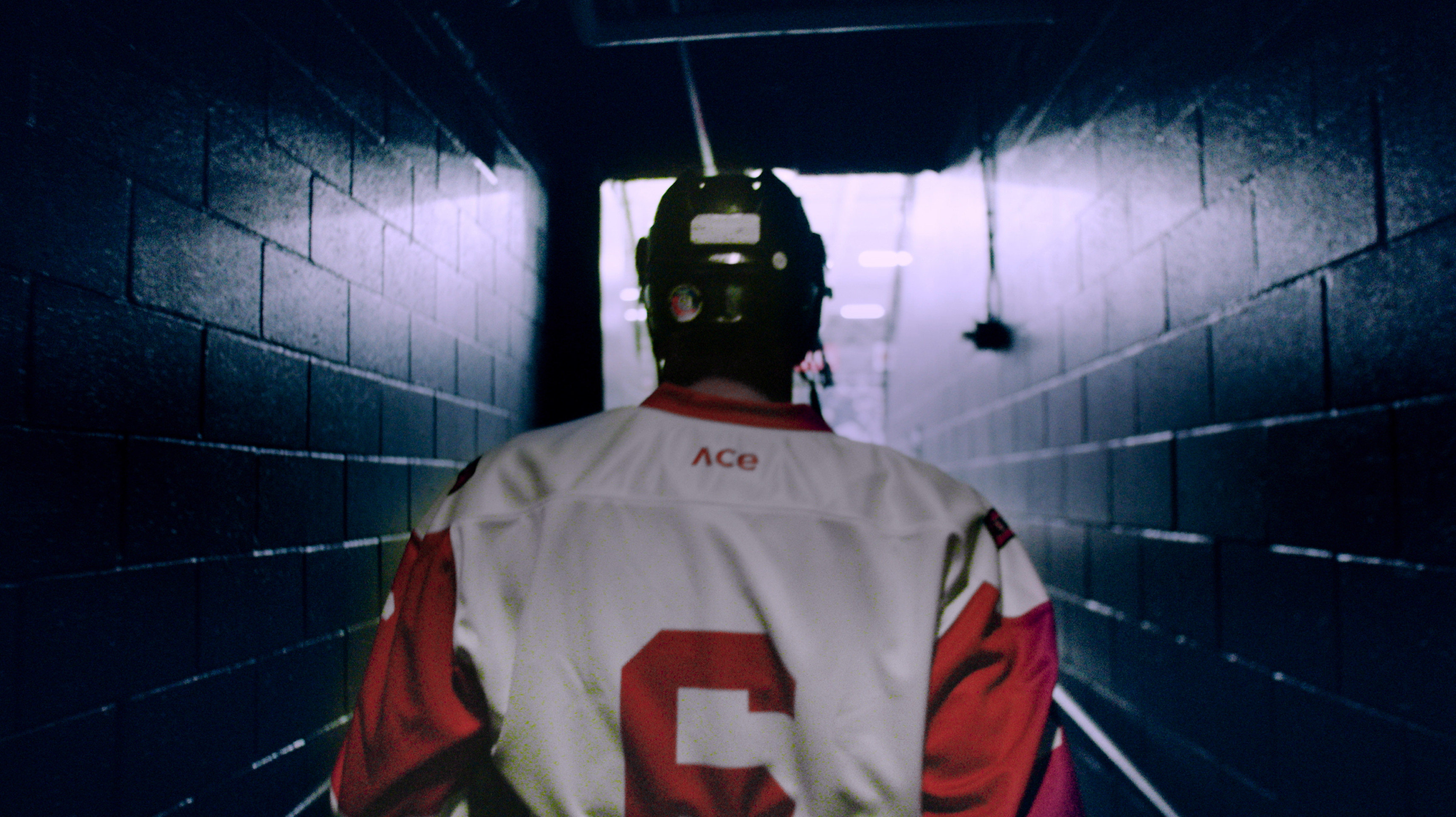 Backdrop for Chosen One: Alexandre Daigle