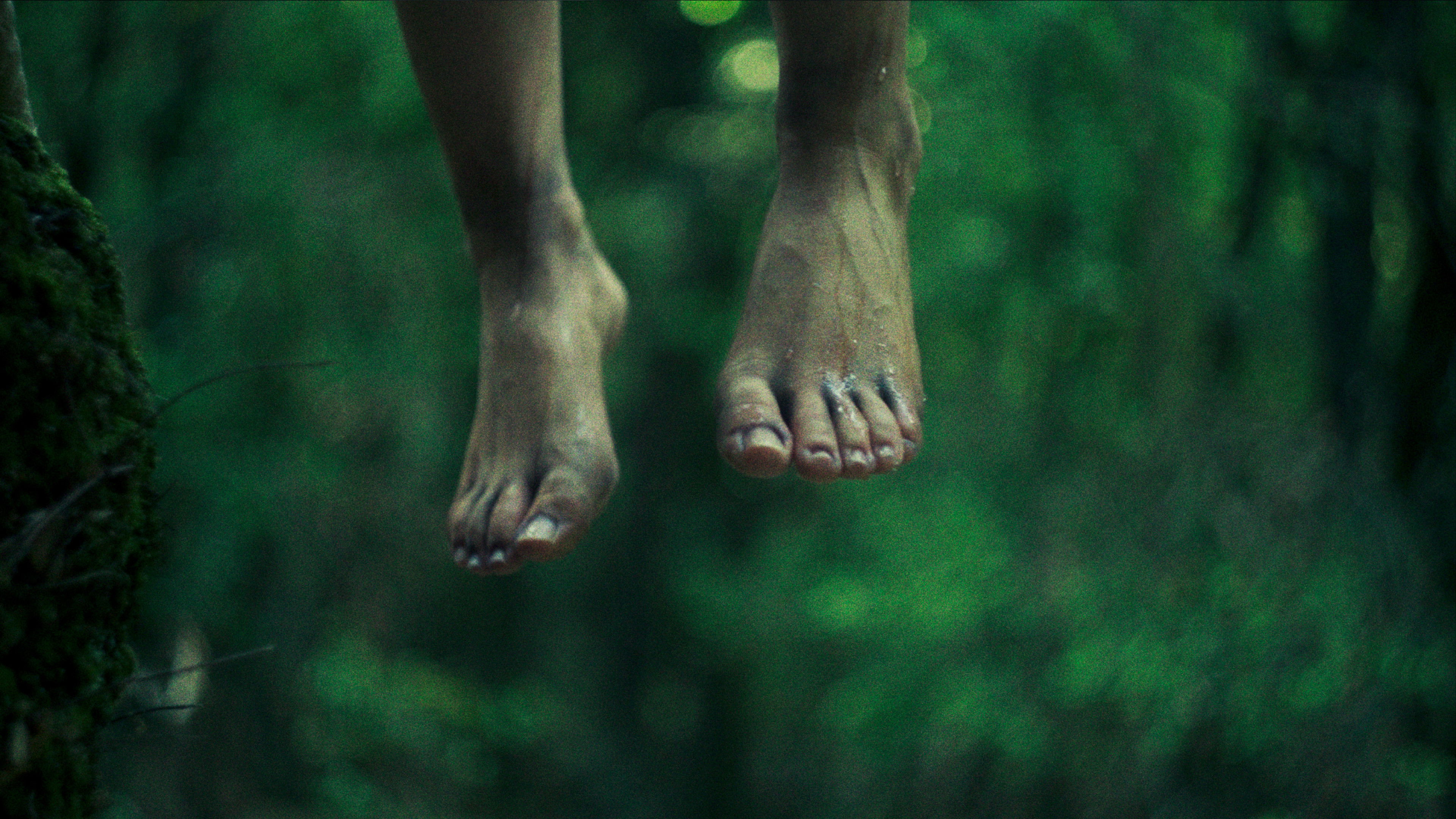 Backdrop for Plou i fa sol