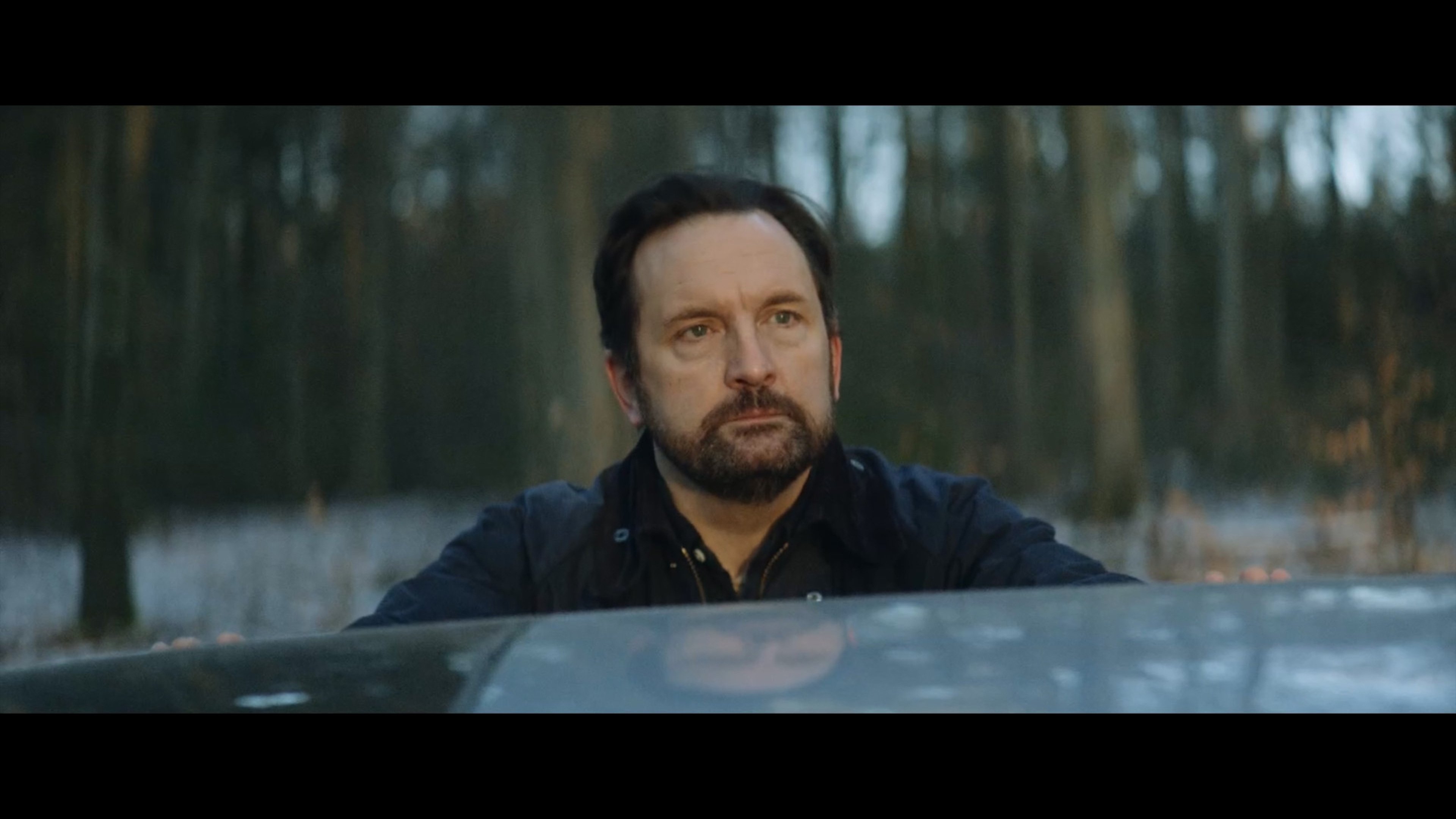 Backdrop for Hunting Bears