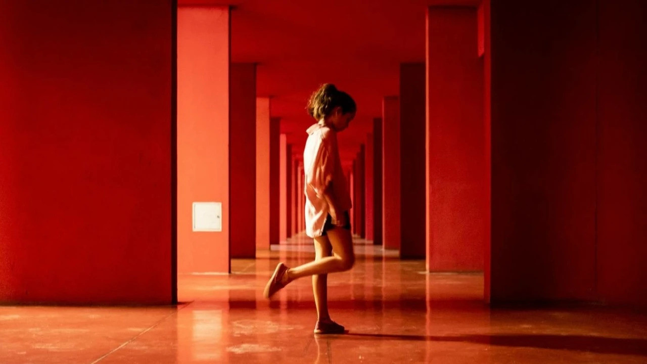 Backdrop for Don't Let the Sun