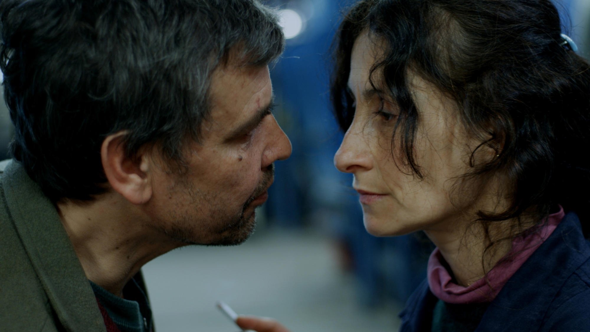 Backdrop for Dog Flesh