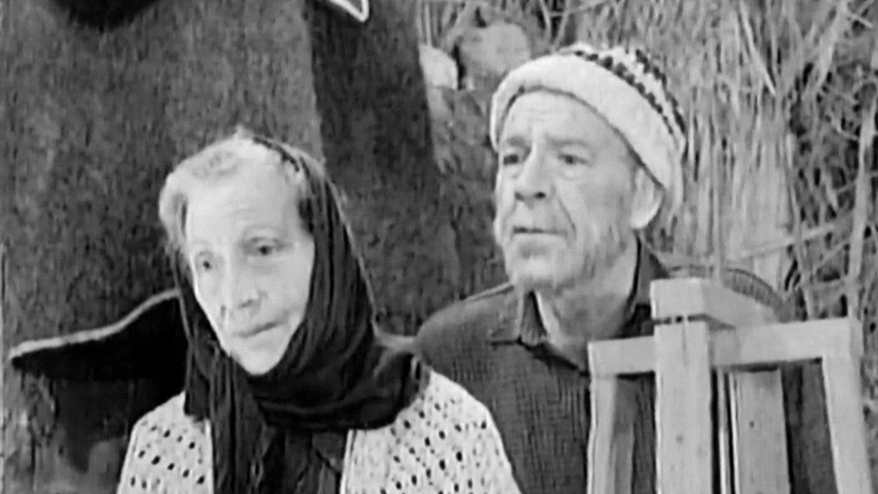 Backdrop for Confession of a Mother