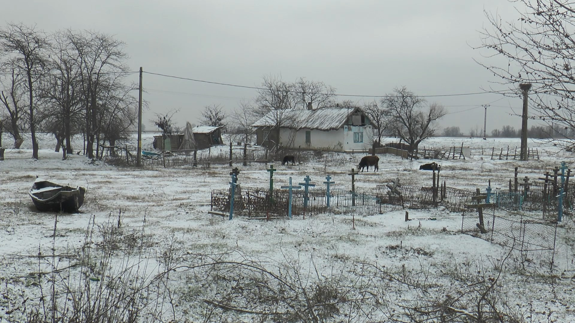 Backdrop for Swamp Dialogues