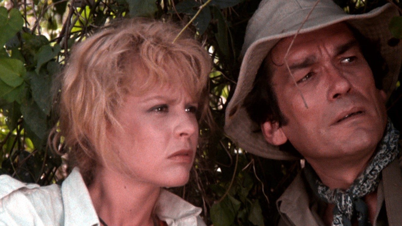 Backdrop for Wild Team