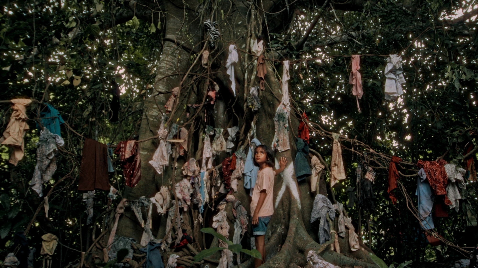 Backdrop for Even Ashes, Nothing Remains