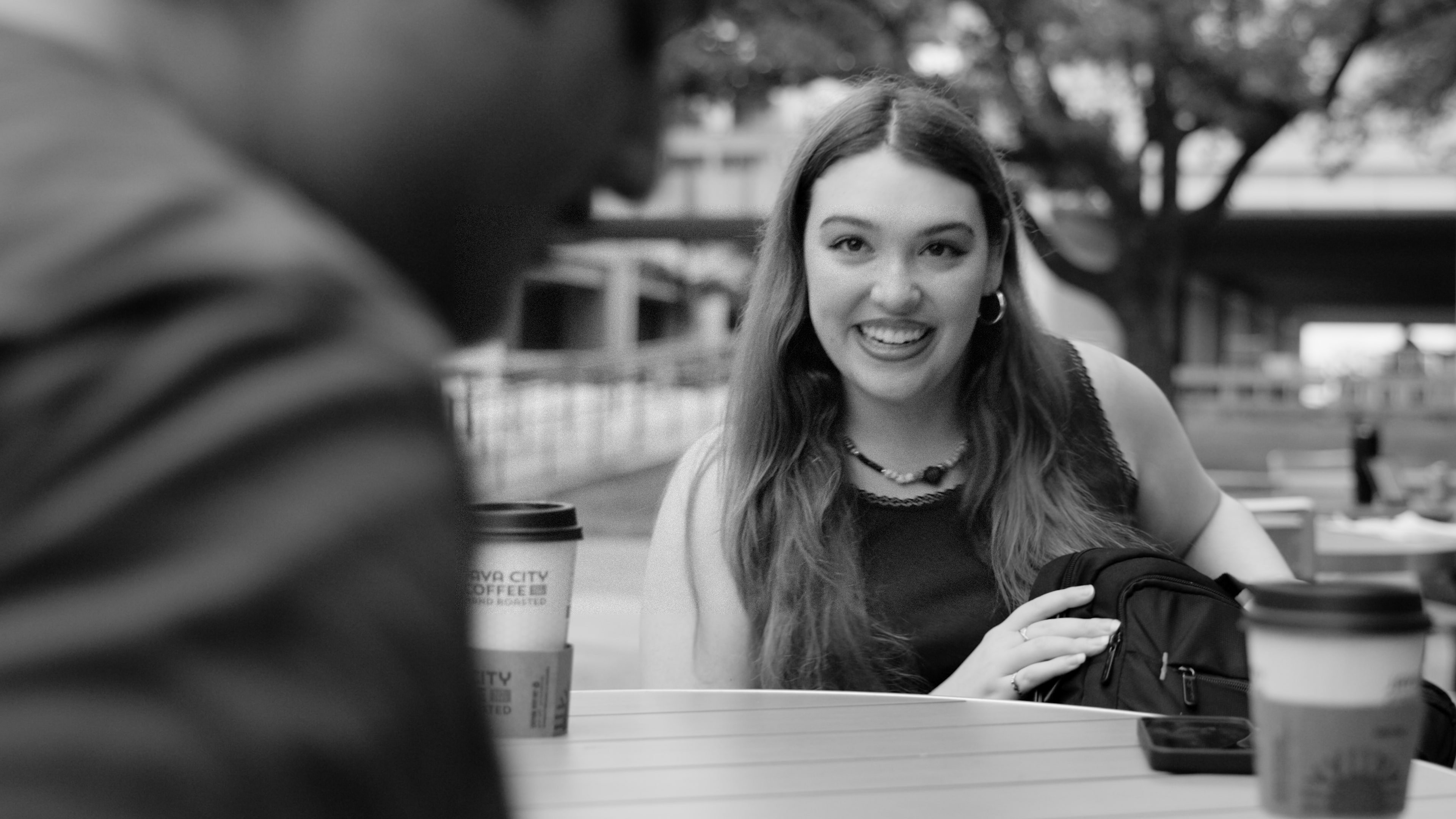 Backdrop for Laptop Thieves