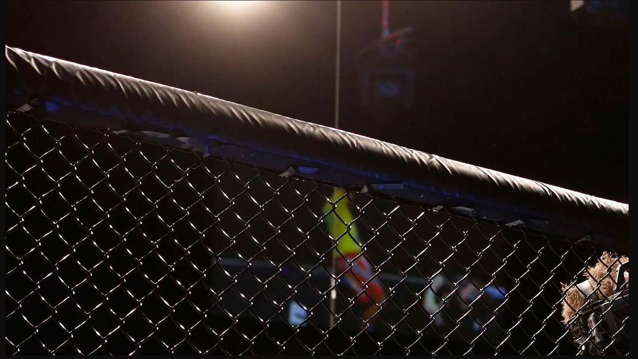 Backdrop for KSW za kulisami